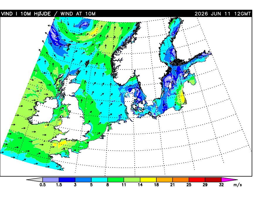 DMI grafik fra hav/vejrmodel