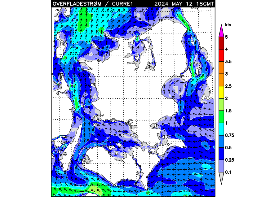 [DMI grafik fra hav/vejrmodel]